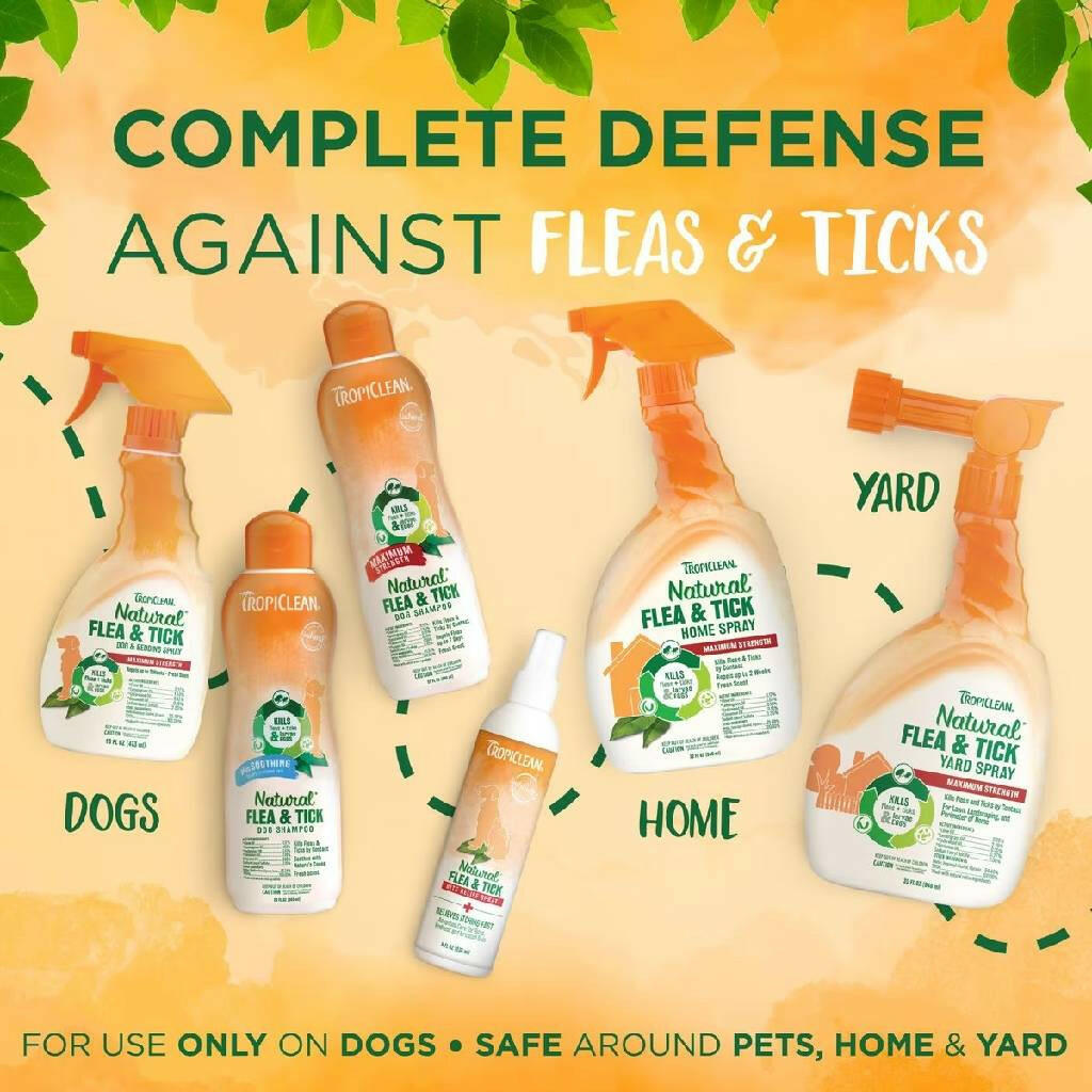 Tropiclean Natural Flea & Tick Shampoo Maximum Strength For Dogs