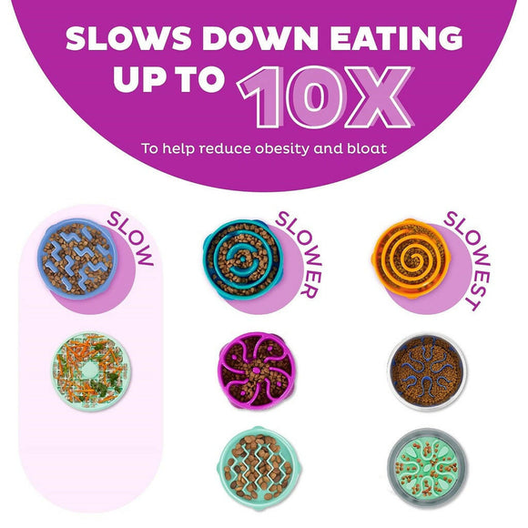 Outward Hound Fun Feeder Purple Flower Bowl for Dogs (Medium)