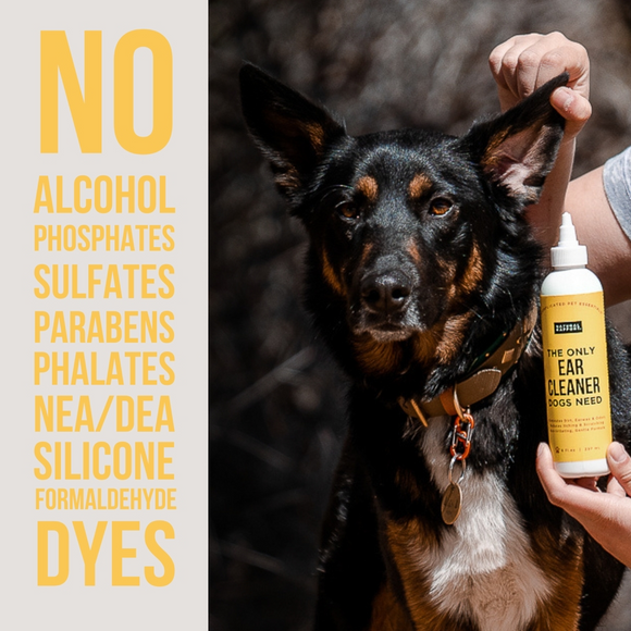 Natural Rapport The Only Ear Cleaner Dogs Need