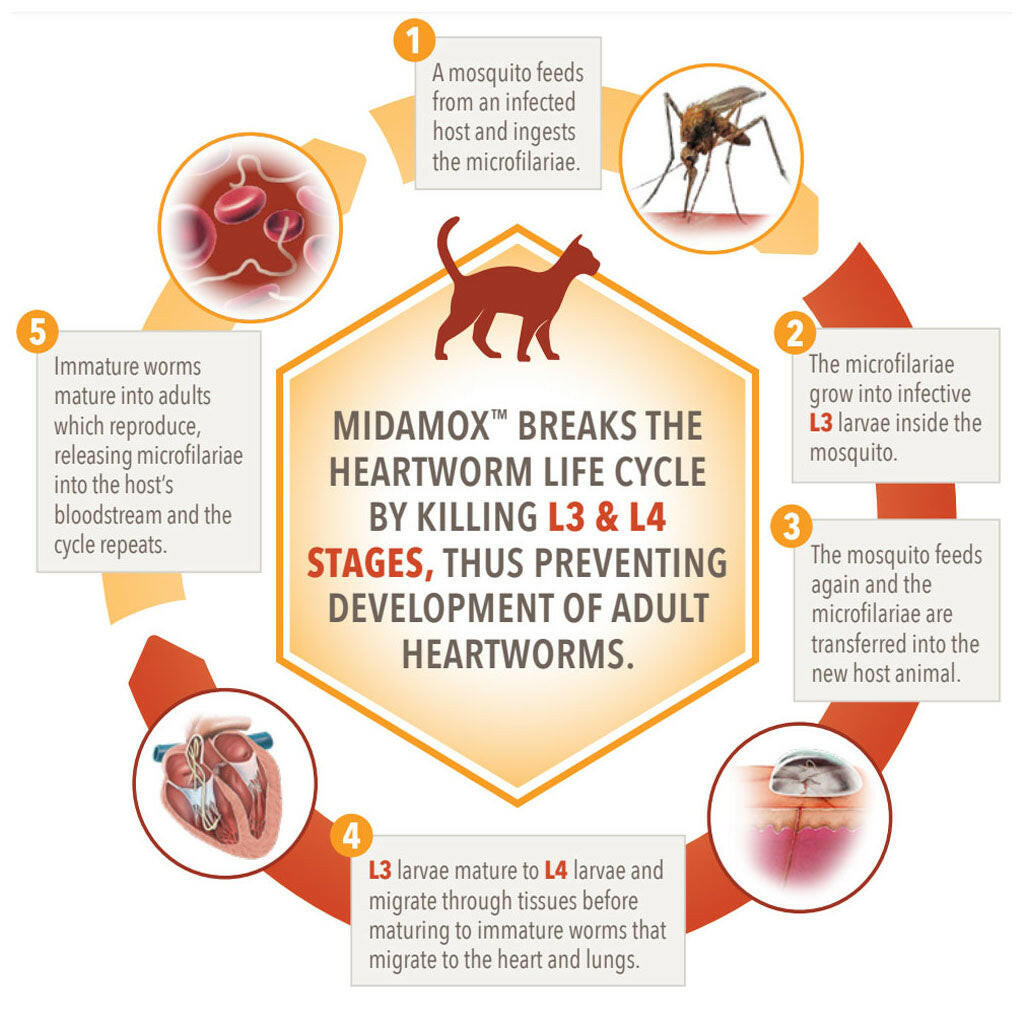 Midamox  for Cats, 5.1-9 lbs