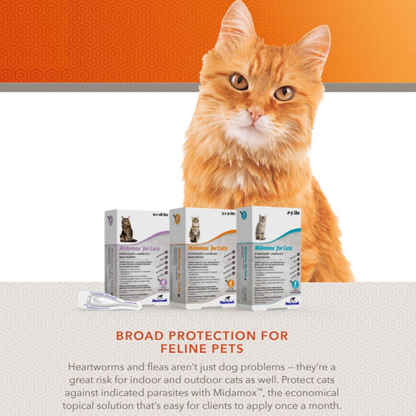 Midamox  for Cats, 5.1-9 lbs