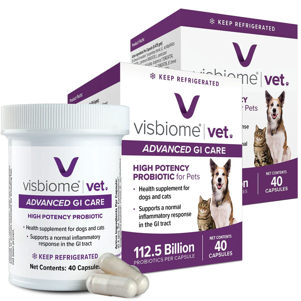 Visbiome for Pets: Top 7 Gut Health Secrets Revealed