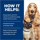 Hill's Prescription Diet a/d Urgent Care Canned Dog and Cat Food