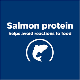 Hill's Prescription Diet d/d Food Sensitivities Potato & Salmon Formula Dry Dog Food - 0