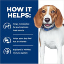 Hill's Prescription Diet r/d Weight Reduction Canned Dog Food