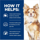 Hill's Prescription Diet t/d Dental Care Small Bites Chicken Flavor Dry Dog Food, 5 lb bag