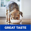 hills z/d dog food has a great taste that your pup will love