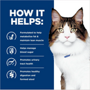 Hill's Prescription Diet w/d Multi-Benefit Digestive/Weight/Glucose/Urinary Management Chicken Flavor Dry Cat Food