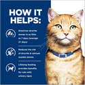 Hill's Prescription Diet c/d Multicare Urinary Care with Chicken Dry Cat Food
