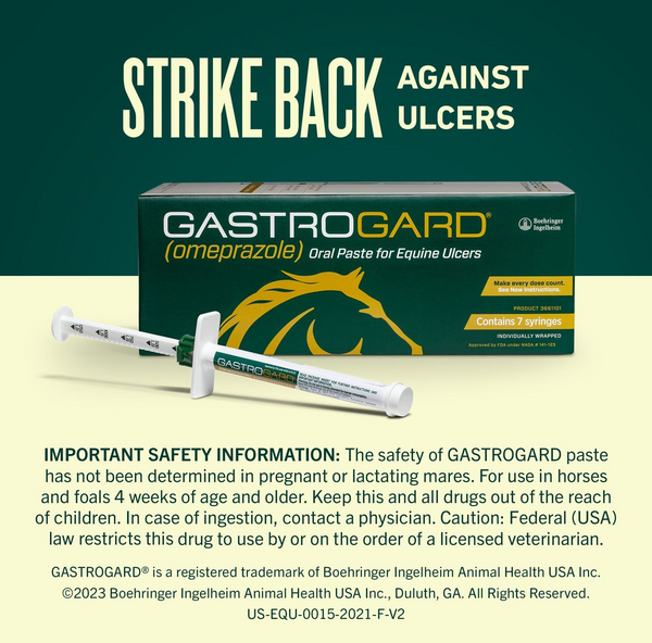 GastroGard Paste for Horses