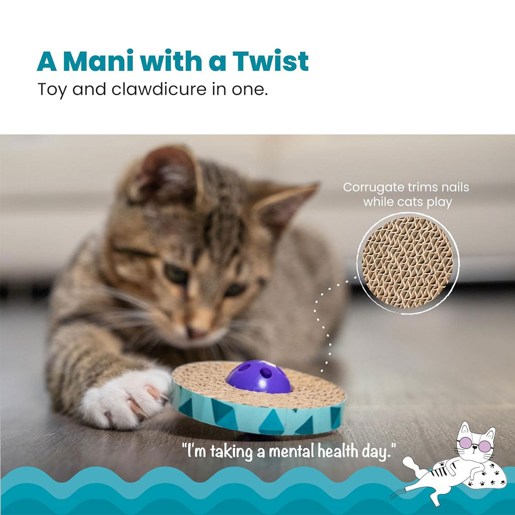 Petstages Spin & Scratch Toy - Keeps Cats Active!