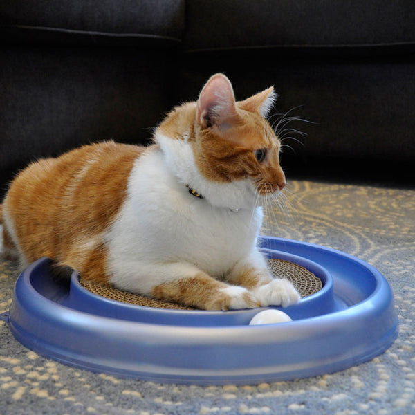 Bergan Turbo Scratcher Cat Toy 