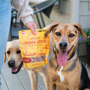 Polkadog Chicken Littles Crunchy Bits Bone Shaped for Dogs & Cats