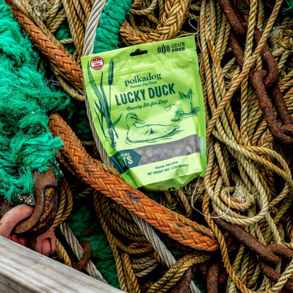 Polkadog Lucky Duck Crunchy Training Bits Treats for Dogs