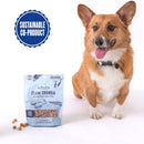 Polkadog Clam Chowda Crunchy Training Bits Treats for Dogs & Cats