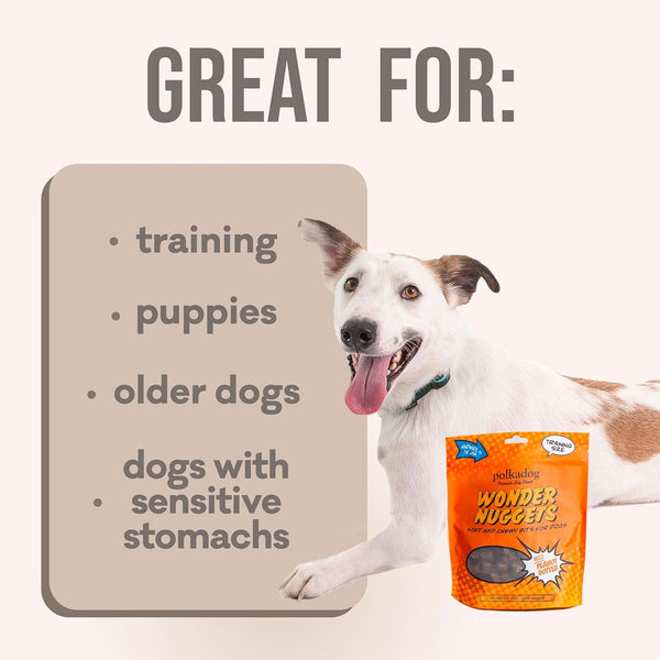 Polkadog Wonder Nuggets Soft & Chewy Bits Peanut Butter Flavor for Dogs