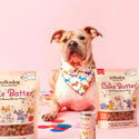 Polkadog Cake Batter Soft & Chewy Bits Pork & Apple Flavor for Dogs