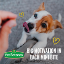 Pet Botanics Training Rewards Mini Soft & Chewy Beef Flavor Dog Treats-7
