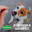 Pet Botanics Training Rewards Mini Soft & Chewy Bacon Flavor Dog Treats