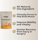 MYOS Canine Muscle Formula Dog Supplement (6.35 oz)