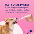 Nutramax Proviable Digestive Health Supplement Kit for Cats And Dogs