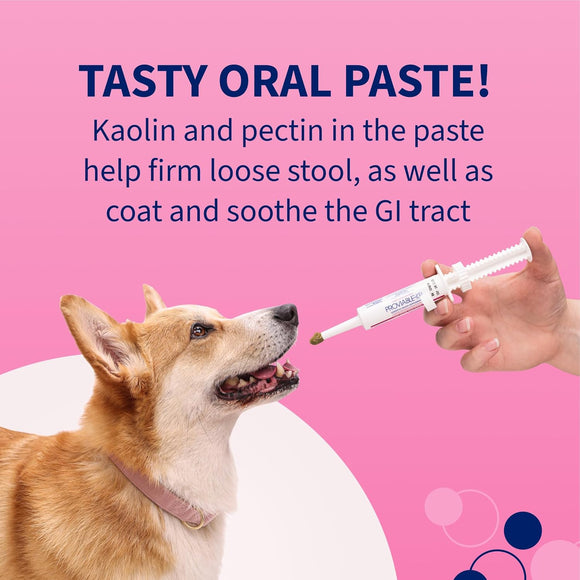 Nutramax Proviable Digestive Health Supplement Kit for Cats And Dogs