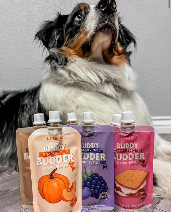 Bark Bistro Buddy Birthday Bash Budder Peanut Butter Squeeze Packs for Dogs