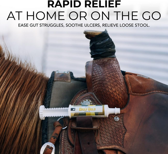 Redmond Daily Gold Stress Relief Natural Healing Clay for Gastric Ulcers for Horses