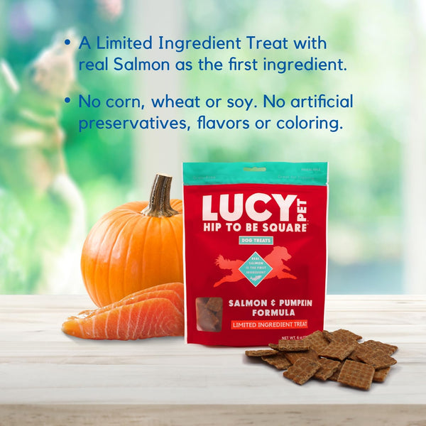 Lucy Pet Products Hip to Be Square Salmon & Pumpkin Formula Dog Treats