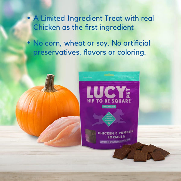 Lucy Pet Products Hip to Be Square Chicken  & Pumpkin Formula Dog Treats