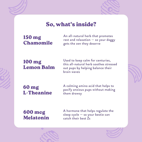 Bocce's Bakery Calming Supplement for Dogs (60 Soft Chews)