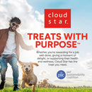 Cloud Star Dynamo Dog Tummy Soft Chews with Probiotic & Pumpkin