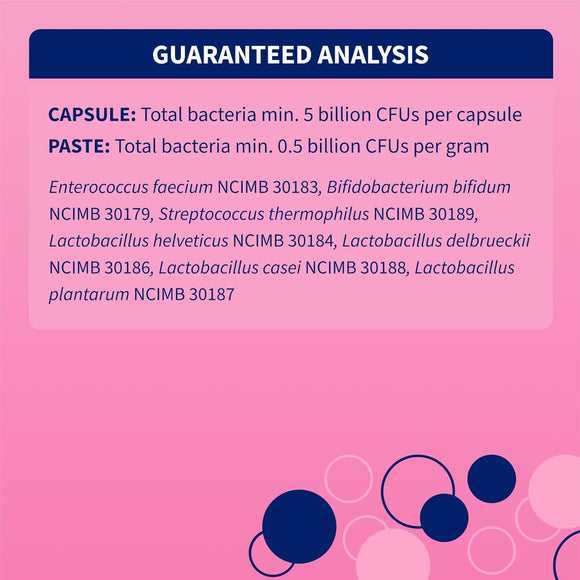 Nutramax Proviable Digestive Health Supplement Kit for Cats And Dogs