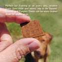 Lucy Pet Products Hip to Be Square Chicken  & Pumpkin Formula Dog Treats