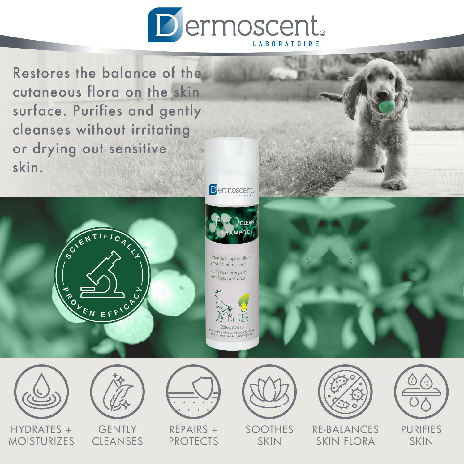 Dermoscent PYOclean Shampoo for Dogs Cats (200 ml)
