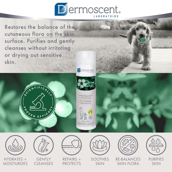 Dermoscent Pyoclean Shampoo for Dogs & Cats (200 ml)