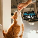 Buddy Biscuits Grain Free Cat Treats Tempting Tuna (3 oz)