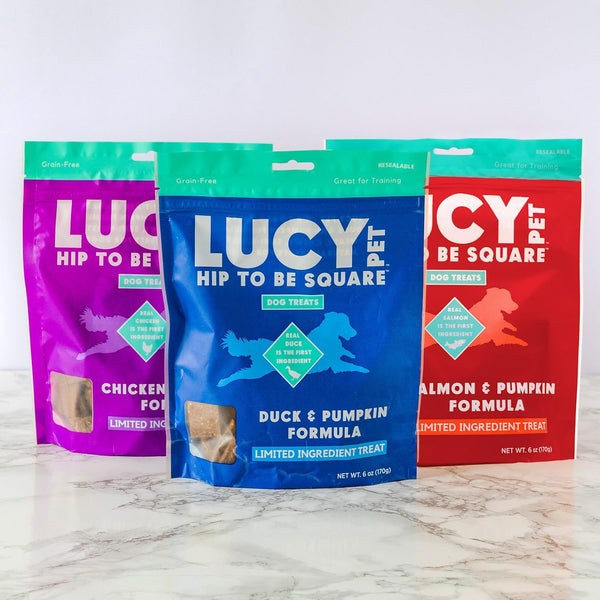 Lucy Pet Products Hip to Be Square Duck & Pumpkin Formula Dog Treats