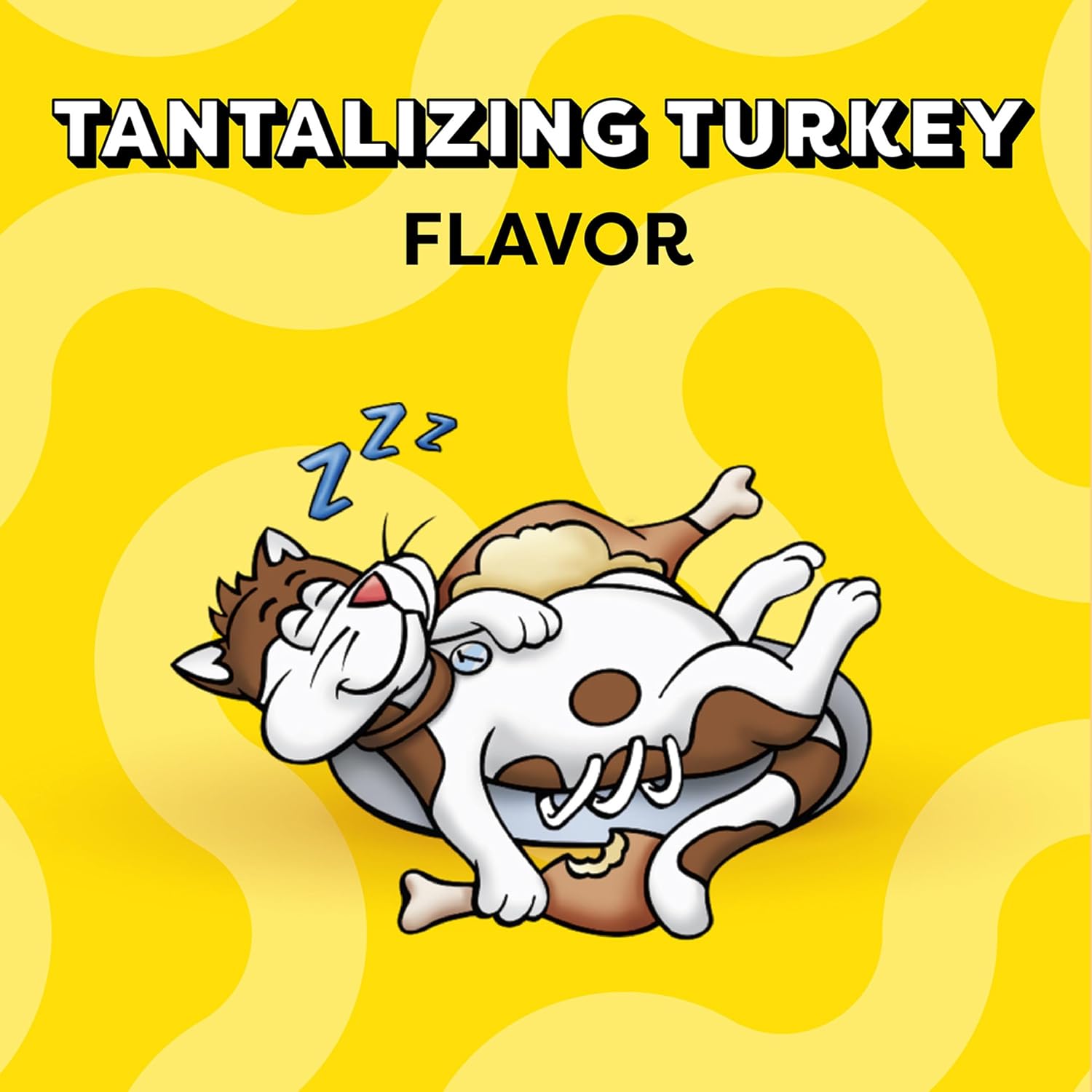 Temptations Classics Turkey Soft and Crunchy Cat Treats