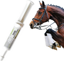 Ramard Total Energy & Stamina Paste For Horses (15 cc)