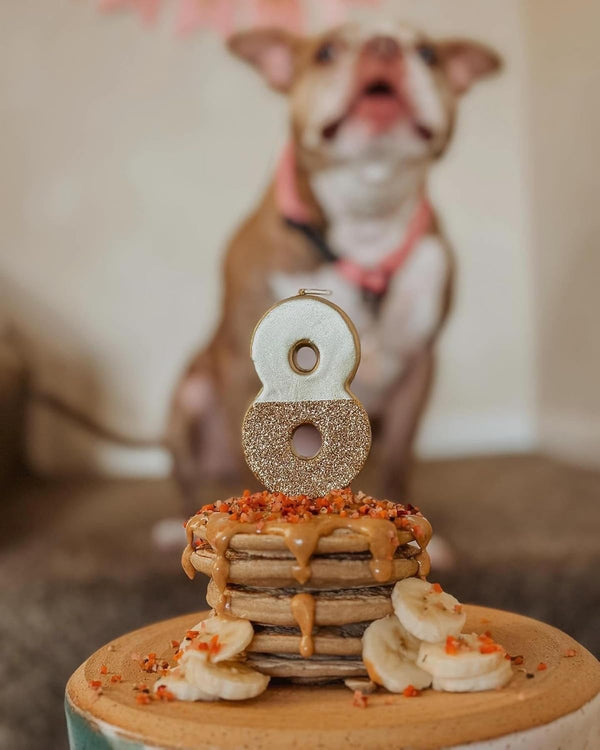 Bark Bistro Pooch Gimme S'Mores Pancakes for Dogs