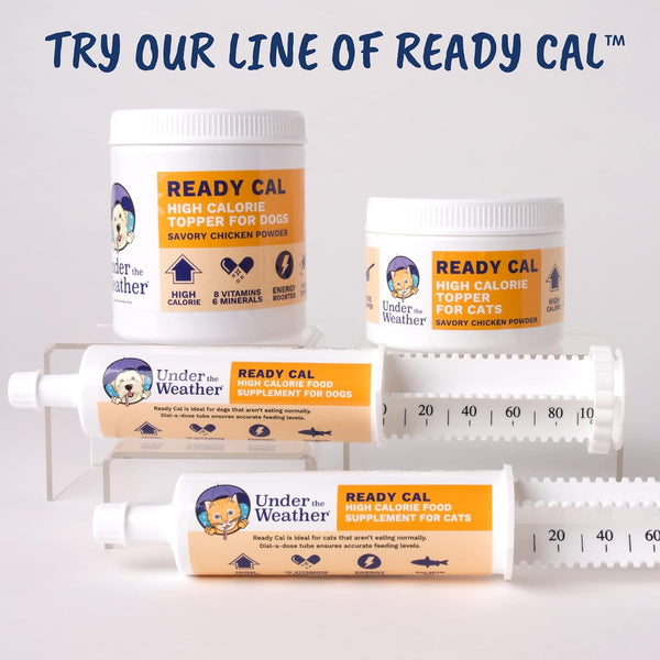 Under the Weather Ready Cal High Calorie Topper Savory Chicken Powder for Cats