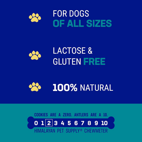 Himalayan Pet Supply Happy Teeth Himalayan Cheese Dental Treat For Dogs (2 chews)