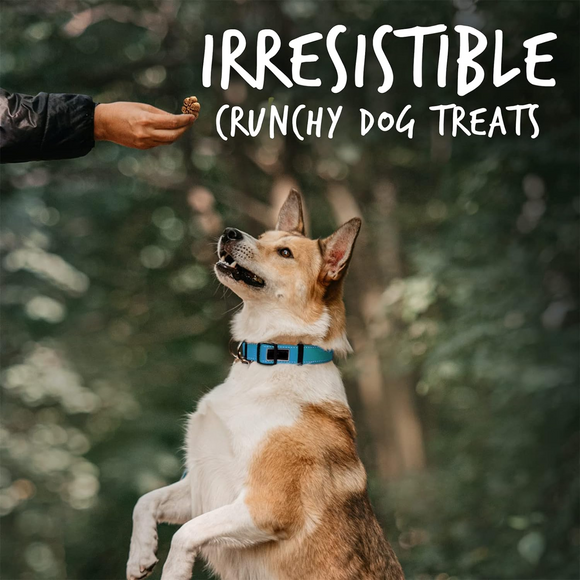Fruitables BIGGIES Almond Butter & Coconut Dog Treats