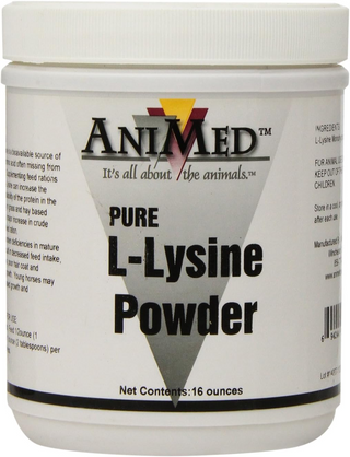 AniMed Pure L-Lysine Powder For Horses