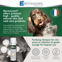 Dermoscent Pyoclean Shampoo for Dogs & Cats (200 ml)
