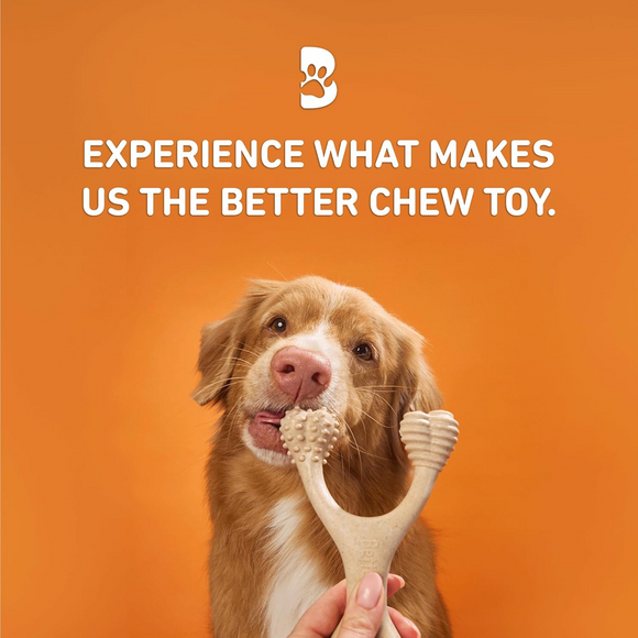 BetterBone Hard Density Beef Flavor Chew Toy For Dog