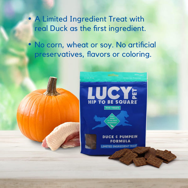 Lucy Pet Products Hip to Be Square Duck & Pumpkin Formula Dog Treats