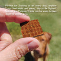 Lucy Pet Products Hip to Be Square Salmon & Pumpkin Formula Dog Treats