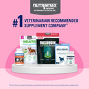 Nutramax Proviable Digestive Health Supplement Kit for Cats And Dogs